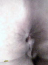 Joyce My 55yo Fuck Friends Hairy Cunt