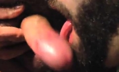 Not Daddy Bear And Son Bear