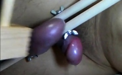 Testicle Torture Cumshot Very Painful Ballbusting