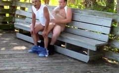 Older Gays Have Sex In Public Park