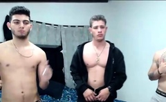 Two randy gay fellas giving blowjobs in group sex action