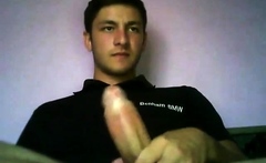 Novinho Pauzudo Gato Na Bronha