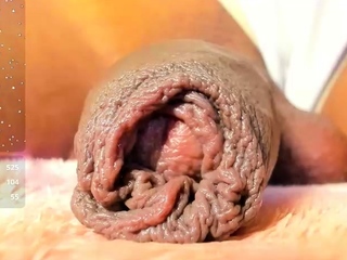Amateur Solo Shemale Masturbation