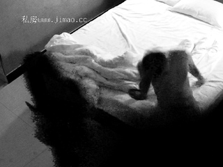 Amateur Hidden Cams Reveal Cock Riding Hoes