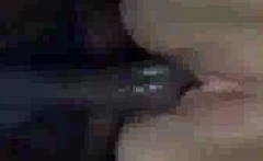 Getting Fucked With The Curtains Opened Cc